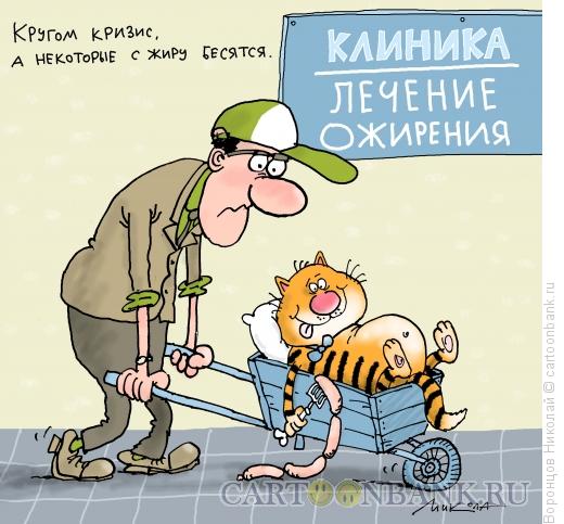Карикатура: С жиру бесятся, Воронцов Николай