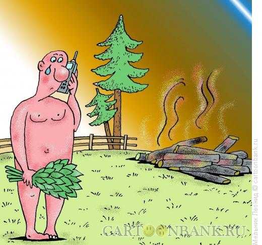 Карикатура: Сгорела банька, Мельник Леонид