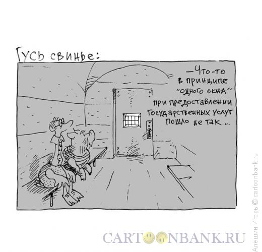 Карикатура: принцип одного окна, Алёшин Игорь