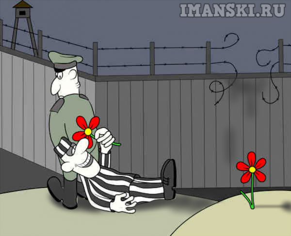Карикатура: Запах свободы, Игорь Иманский