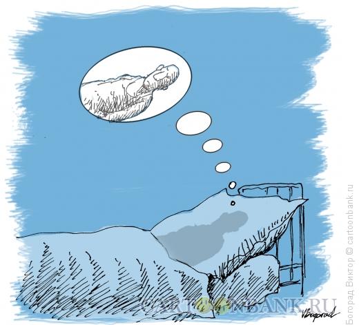 Карикатура: Мечты подушки, Богорад Виктор