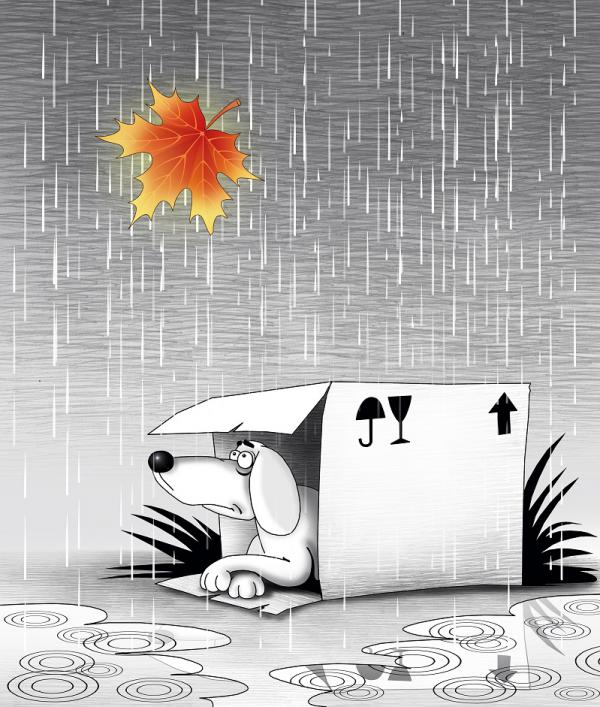 Карикатура: Осень, Сергей Корсун