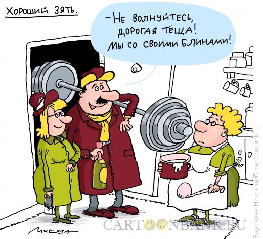 Карикатура: Хороший зять, Воронцов Николай