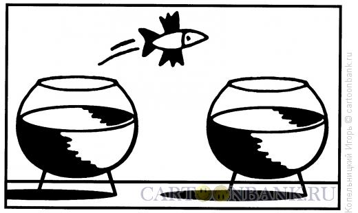 Карикатура: аквариум, Копельницкий Игорь