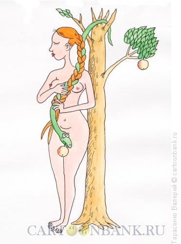 Карикатура: Девичья краса, Тарасенко Валерий