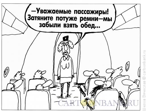 Карикатура: В самолете, Шилов Вячеслав
