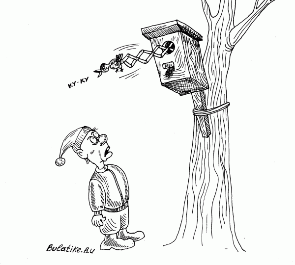 Карикатура: Подкидыш, Булат Ирсаев