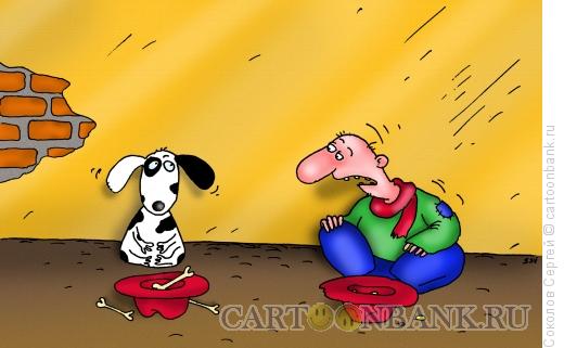 Карикатура: бедная собака, Соколов Сергей