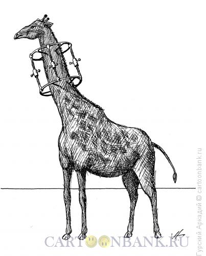 Карикатура: жираф с удлинителем, Гурский Аркадий