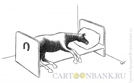 Карикатура: лошадь в кровати, Гурский Аркадий