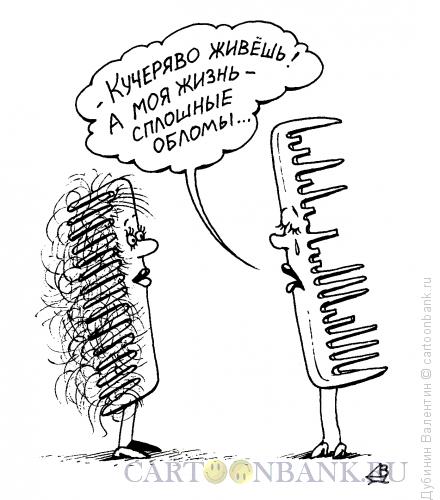 Карикатура: Из жизни расчёсок, Дубинин Валентин