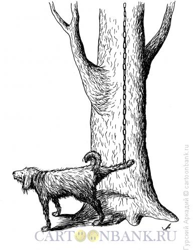 Карикатура: собака у дерева, Гурский Аркадий