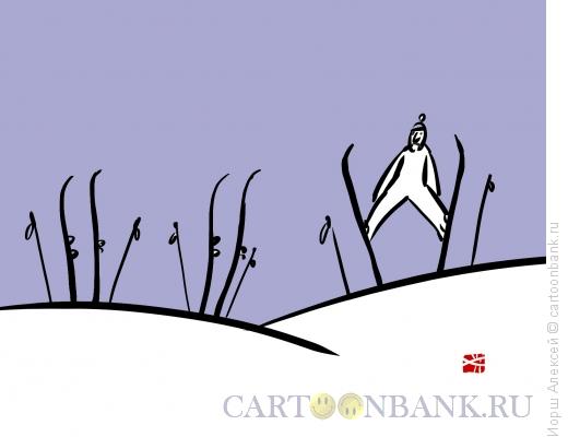 Карикатура: Лыжник, Иорш Алексей