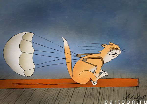 Карикатура: Тормозной парашют, Александр Зудин