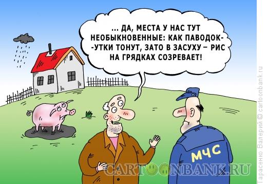 Карикатура: Природные аномалии, Тарасенко Валерий