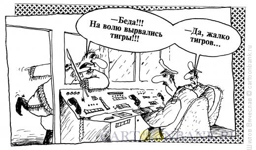 Карикатура: Тигры, Шилов Вячеслав