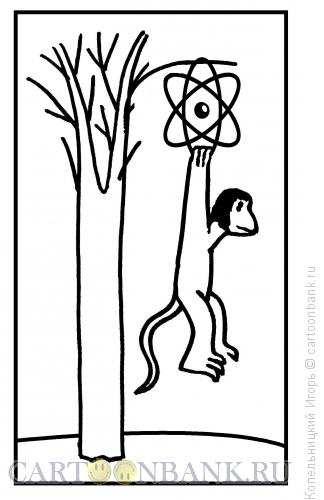 Карикатура: Обезьяна и атом, Копельницкий Игорь