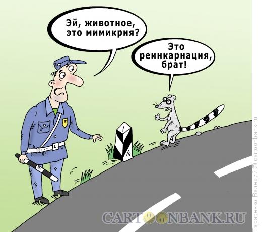 Карикатура: Реинкарнация, Тарасенко Валерий