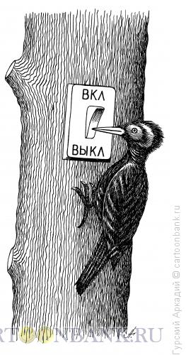 Карикатура: дятел на дереве, Гурский Аркадий