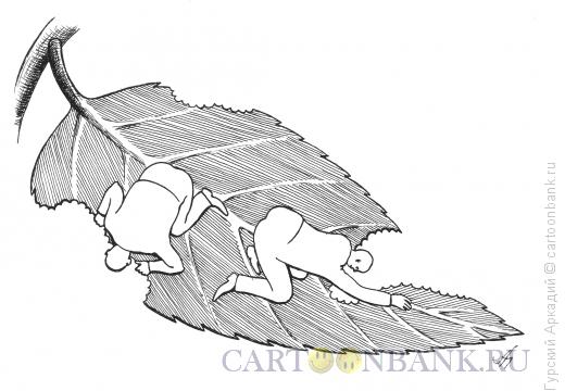 Карикатура: люди грызут лист, Гурский Аркадий
