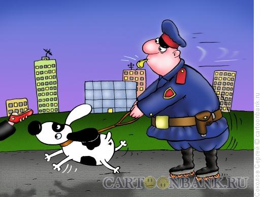 Карикатура: Полиция - 1, Соколов Сергей