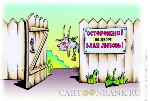 Карикатура: Во дворе злая любовь, Кийко Игорь
