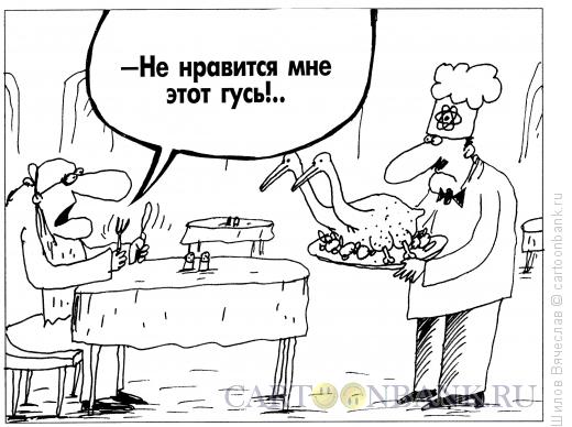 Карикатура: Гусь, Шилов Вячеслав