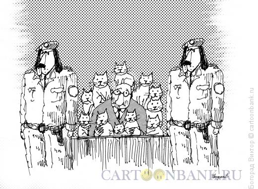 Карикатура: Любитель кошек под судом собак, Богорад Виктор