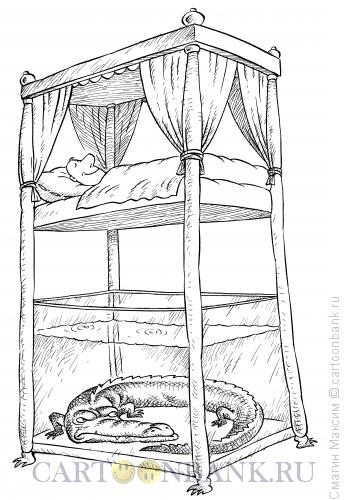 Карикатура: Крокодил-охранник, Смагин Максим