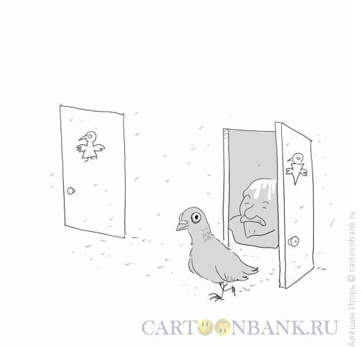 Карикатура: голубиный туалет, Алёшин Игорь
