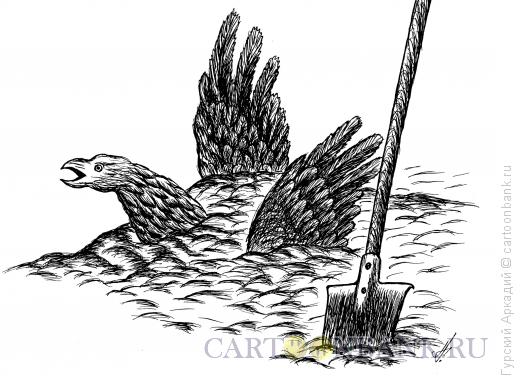 Карикатура: Птица, Гурский Аркадий