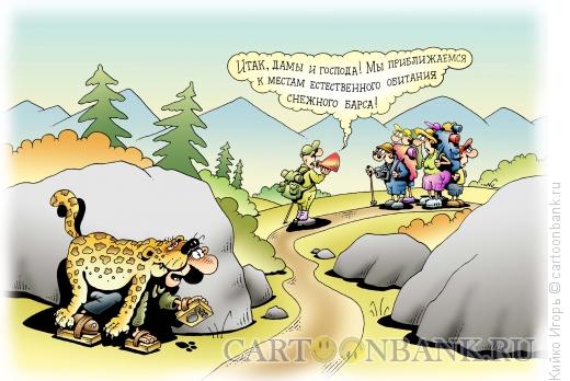 Карикатура: Снежный барс, Кийко Игорь