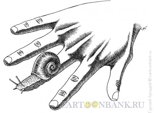 Карикатура: пальцы с улиткой, Гурский Аркадий