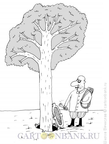 Карикатура: Чудо-дерево, Шилов Вячеслав