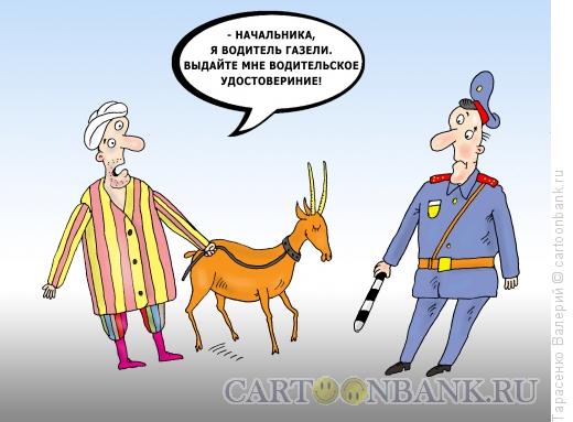 Карикатура: Водитель газели, Тарасенко Валерий
