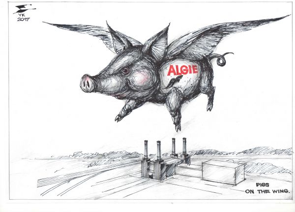 Карикатура: Pigs on the wing ., Юрий Косарев