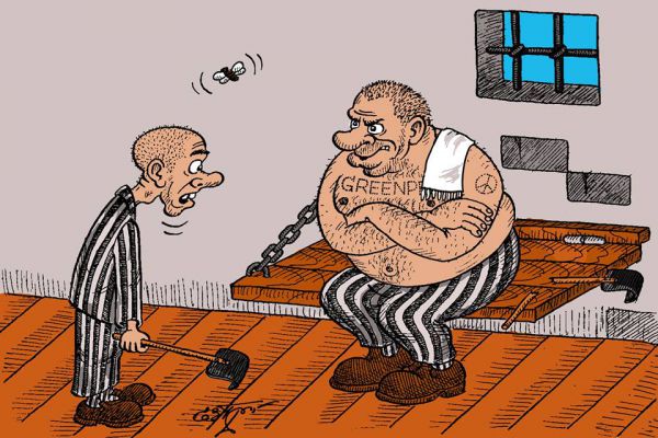 Карикатура: карикатуры, Евгений Гречко