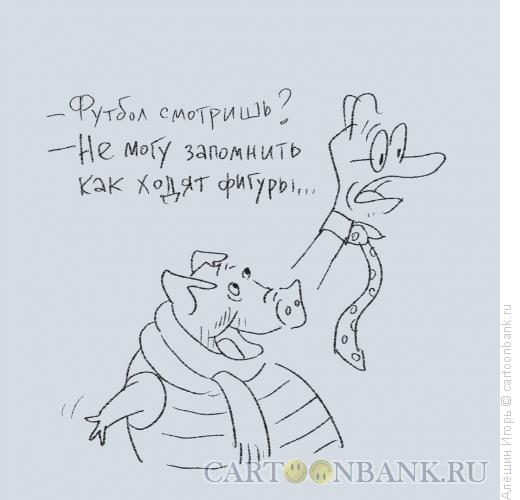 Карикатура: не люблю футбол, Алёшин Игорь