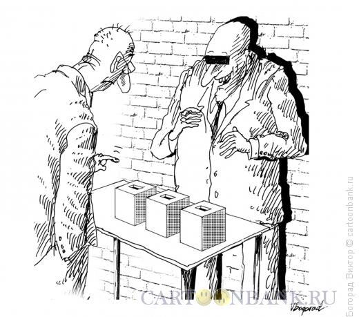 Карикатура: Выборы-лохотрон, Богорад Виктор