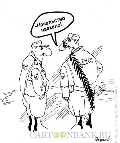 Карикатура: Наезд, Богорад Виктор
