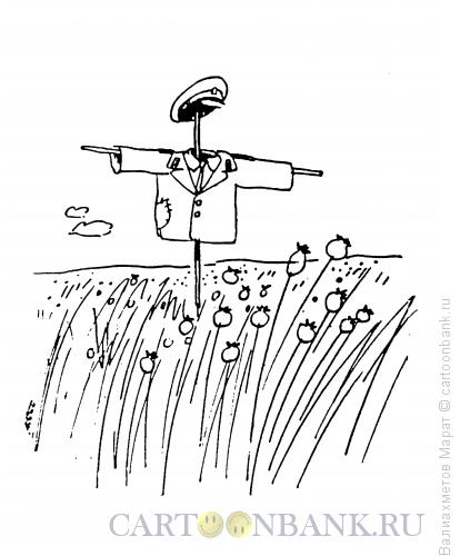 Карикатура: Маковое поле, Валиахметов Марат