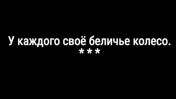 Мем: С иронией о разном, Владимир Олишевский