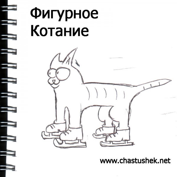 Мем: Фигурное котание, chastushek