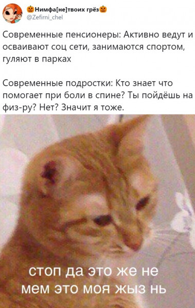 Мем, Кот Отморозкин