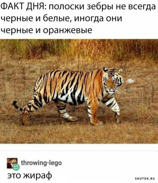 Мем, Джокер