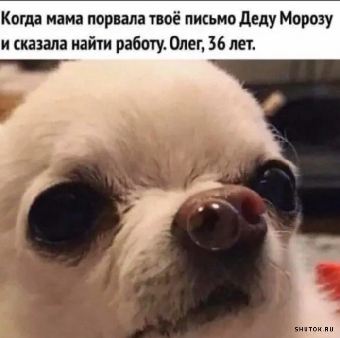 Мем, Джокер