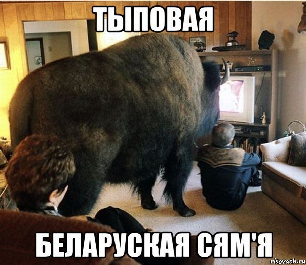 Мем, Кот Отморозкин