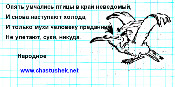 Мем: Улетели птицы..., chastushek