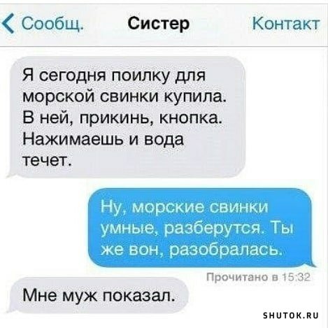 Мем, Джокер