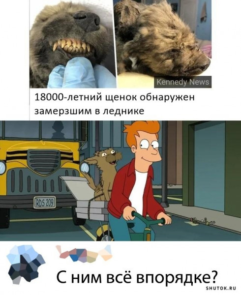 Мем, Джокер